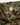 ANACHRONORM / CUT-OFF HARD DAMAGED B.D.U CAMO PANTS - WOODLAND